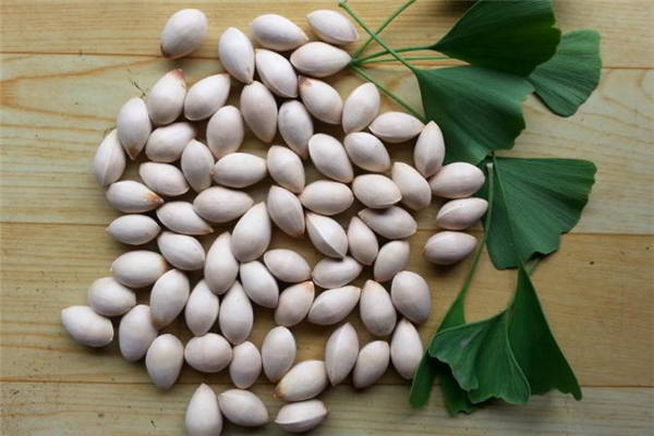 糖尿病能吃銀杏果嗎 吃銀杏果能降血糖嗎 糖尿病能吃銀杏果嗎 吃銀杏果能降血糖嗎