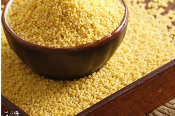 小米有什么營養(yǎng)價(jià)值呢 小米是涼性的食物嗎 小米有什么營養(yǎng)價(jià)值呢 小米是涼性的食物嗎