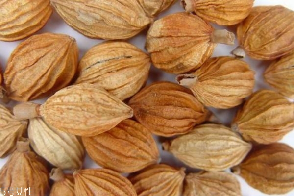 什么人群不能吃肉豆蔻呢 吃肉豆蔻應(yīng)該注意什么呢 什么人群不能吃肉豆蔻呢 吃肉豆蔻應(yīng)該注意什么呢