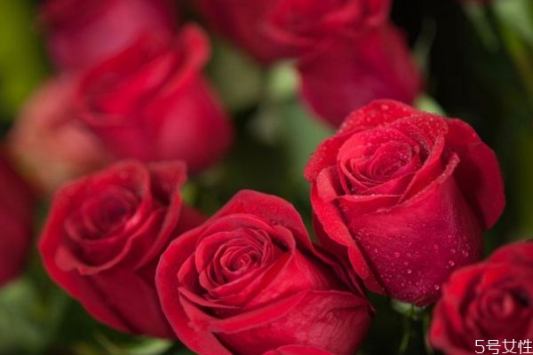 男生告白應(yīng)該送什么禮物呢 暗戀對(duì)方應(yīng)該送什么呢 男生告白應(yīng)該送什么禮物呢 暗戀對(duì)方應(yīng)該送什么呢