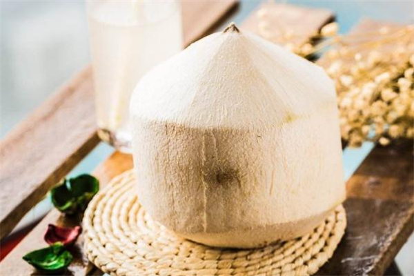 椰青什么人不能吃 椰青不能與什么一起吃 椰青什么人不能吃 椰青不能與什么一起吃