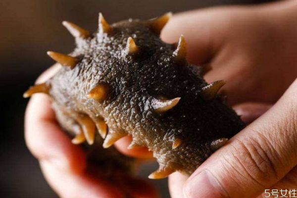 海參怎么吃有營養(yǎng) 吃海參有什么禁忌 海參怎么吃有營養(yǎng) 吃海參有什么禁忌