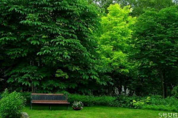 什么事情最傷害眼睛呢 傷害眼睛的有什么事情呢 什么事情最傷害眼睛呢 傷害眼睛的有什么事情呢