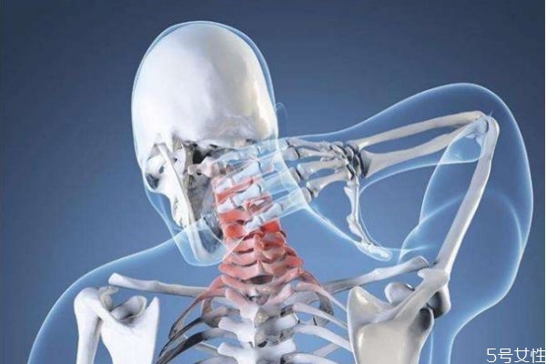 為什么久坐脖子會疼呢 造成脖子疼的原因有什么呢 為什么久坐脖子會疼呢 造成脖子疼的原因有什么呢