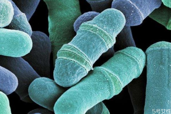 灰指甲是怎么造成的呢 應(yīng)該怎么治療灰指甲呢 灰指甲是怎么造成的呢 應(yīng)該怎么治療灰指甲呢