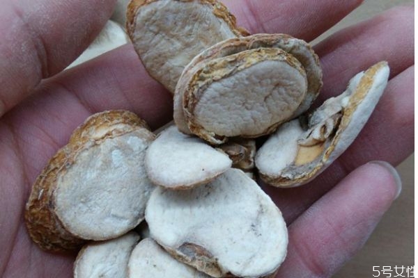 什么是大貝母呢 大貝母有什么藥用價值呢 什么是大貝母呢 大貝母有什么藥用價值呢