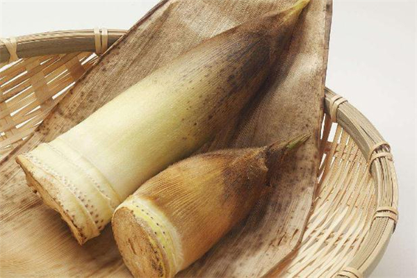 哺乳期可以吃冬筍嗎 哺乳期吃冬筍會(huì)回奶嗎 哺乳期可以吃冬筍嗎 哺乳期吃冬筍會(huì)回奶嗎