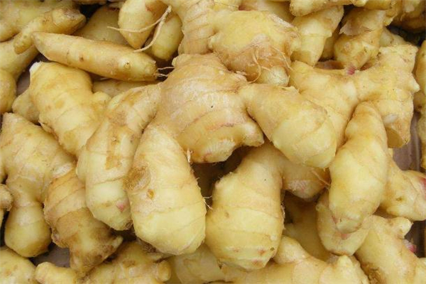 生姜涂腳底能減肥嗎 生姜涂腳底有什么好處 生姜涂腳底能減肥嗎 生姜涂腳底有什么好處