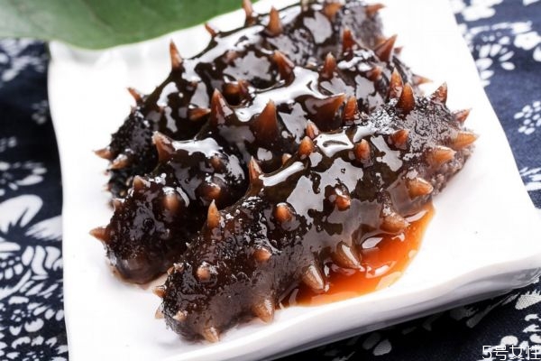 海參怎么吃有營養(yǎng) 吃海參有什么禁忌 海參怎么吃有營養(yǎng) 吃海參有什么禁忌