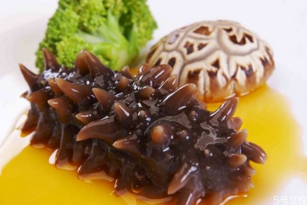 海參怎么吃有營養(yǎng) 吃海參有什么禁忌 海參怎么吃有營養(yǎng) 吃海參有什么禁忌