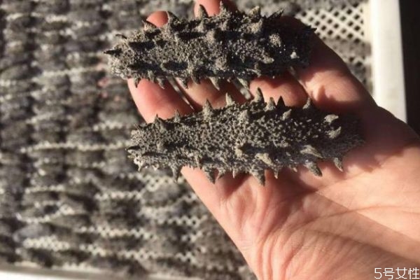 海參怎么吃有營養(yǎng) 吃海參有什么禁忌 海參怎么吃有營養(yǎng) 吃海參有什么禁忌