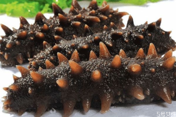 海參怎么吃有營養(yǎng) 吃海參有什么禁忌 海參怎么吃有營養(yǎng) 吃海參有什么禁忌
