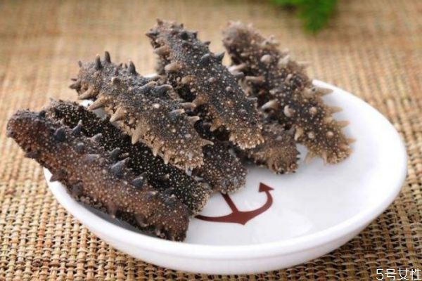 海參怎么吃有營養(yǎng) 吃海參有什么禁忌 海參怎么吃有營養(yǎng) 吃海參有什么禁忌