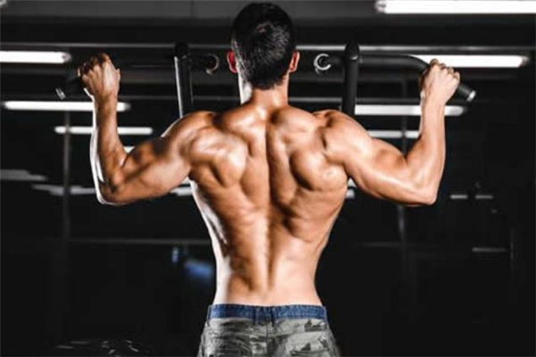 大圓肌在哪個位置 大圓肌和背闊肌的關系 大圓肌在哪個位置 大圓肌和背闊肌的關系