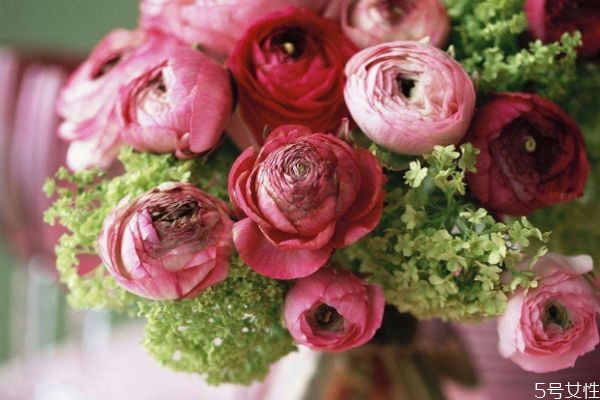 花毛茛的花語是什么呢 花毛茛有什么顏色的呢 花毛茛的花語是什么呢 花毛茛有什么顏色的呢