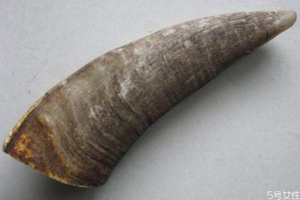 山羊角有什么營(yíng)養(yǎng)價(jià)值呢 山羊角有什么作用呢