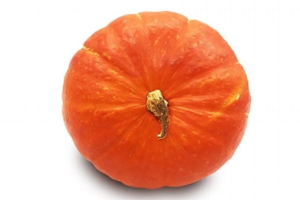 吃金瓜有什么作用呢 金瓜的生長環(huán)境是怎么樣的呢 吃金瓜有什么作用呢 金瓜的生長環(huán)境是怎么樣的呢