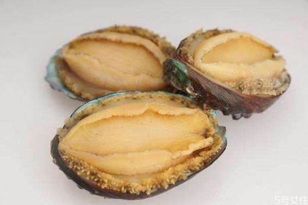 鮑魚(yú)一般都是幾頭的呢 鮑魚(yú)有什么益處呢 鮑魚(yú)一般都是幾頭的呢 鮑魚(yú)有什么益處呢