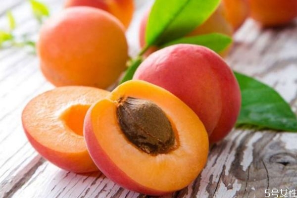 杏子有什么營(yíng)養(yǎng)價(jià)值呢 杏子的生長(zhǎng)環(huán)境怎么樣呢 杏子有什么營(yíng)養(yǎng)價(jià)值呢 杏子的生長(zhǎng)環(huán)境怎么樣呢