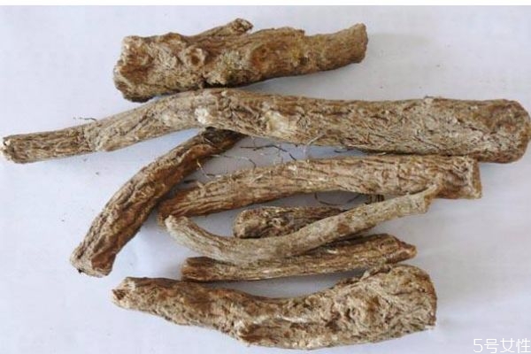 木香有什么作用呢 吃木香有什么好處呢 木香有什么作用呢 吃木香有什么好處呢