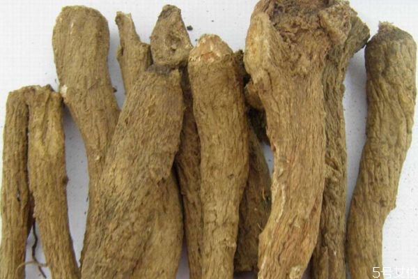 木香有什么作用呢 吃木香有什么好處呢 木香有什么作用呢 吃木香有什么好處呢