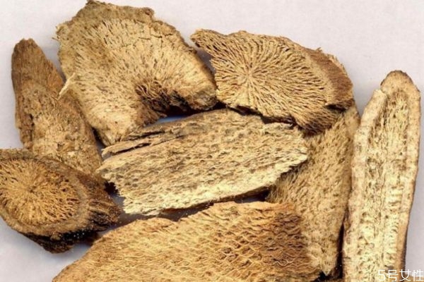 木香有什么作用呢 吃木香有什么好處呢 木香有什么作用呢 吃木香有什么好處呢