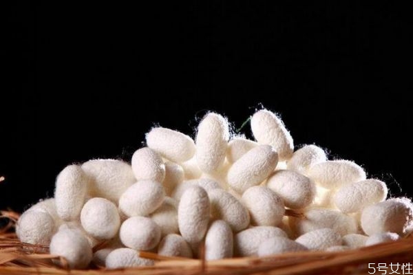 蠶絲的面料有什么作用呢 蠶絲衣服有什么優(yōu)點呢 蠶絲的面料有什么作用呢 蠶絲衣服有什么優(yōu)點呢