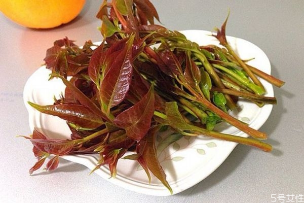 什么是香椿頭呢 香椿頭有什么營養(yǎng)價值呢 什么是香椿頭呢 香椿頭有什么營養(yǎng)價值呢