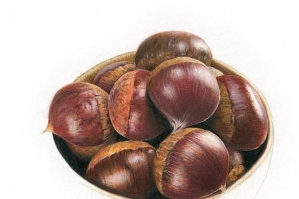 栗子有什么營養(yǎng)價值呢 吃栗子有什么好處呢 栗子有什么營養(yǎng)價值呢 吃栗子有什么好處呢