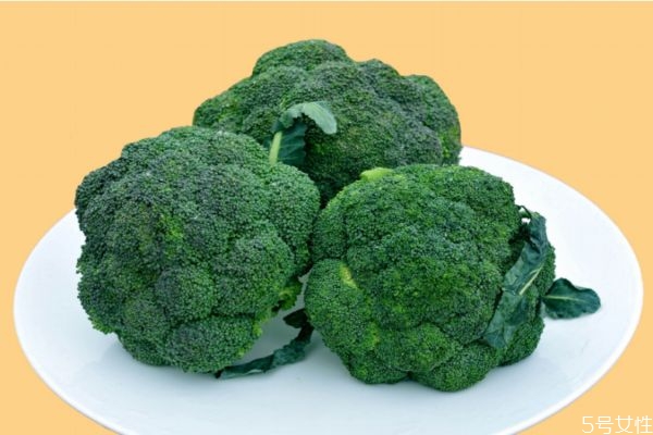 西蘭花可以生吃嗎 怎么吃西蘭花比較有營養(yǎng)呢 西蘭花可以生吃嗎 怎么吃西蘭花比較有營養(yǎng)呢