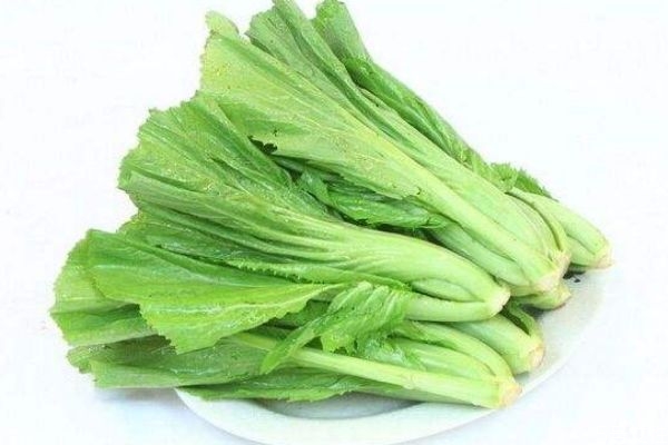 芥菜有什么營養(yǎng)價值呢 吃芥菜有什么好處呢 芥菜有什么營養(yǎng)價值呢 吃芥菜有什么好處呢