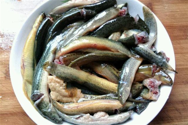 泥鰍吃了會上火嗎 泥鰍是涼性還是熱性 泥鰍吃了會上火嗎 泥鰍是涼性還是熱性