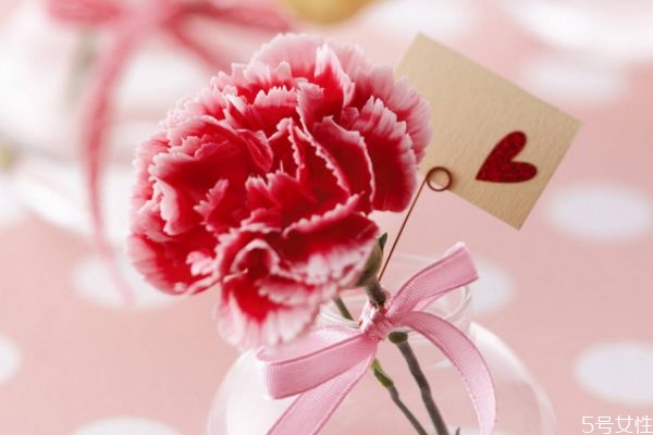 康乃馨的花語(yǔ)是什么呢 康乃馨適合送給什么人呢