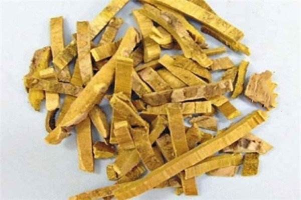 黃柏主治疾病有哪些 黃柏的生理特性 黃柏主治疾病有哪些 黃柏的生理特性