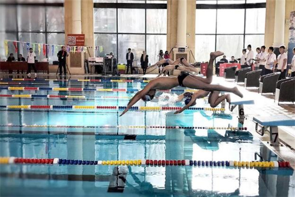 蛙泳為什么頭抬不高 蛙泳為什么頭抬不起來 蛙泳為什么頭抬不高 蛙泳為什么頭抬不起來