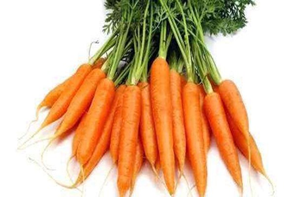 胡蘿卜素可以補充維生素a嗎 胡蘿卜素有什么作用 胡蘿卜素可以補充維生素a嗎 胡蘿卜素有什么作用