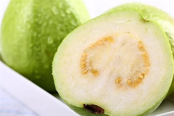 番石榴沒熟可以吃嗎 番石榴沒熟怎么辦 番石榴沒熟可以吃嗎 番石榴沒熟怎么辦