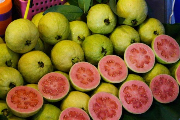 番石榴可以放冰箱里嗎 番石榴放冰箱可以放多久 番石榴可以放冰箱里嗎 番石榴放冰箱可以放多久