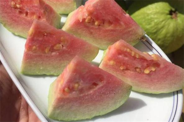 番石榴吃了會上火嗎 番石榴一天吃多少合適 番石榴吃了會上火嗎 番石榴一天吃多少合適