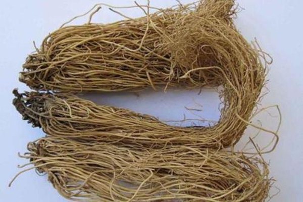 細(xì)辛是什么 細(xì)辛的審理特性是什么 細(xì)辛是什么 細(xì)辛的審理特性是什么