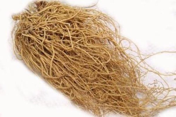 細(xì)辛是什么 細(xì)辛的審理特性是什么 細(xì)辛是什么 細(xì)辛的審理特性是什么