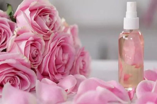玫瑰純露是什么 玫瑰純露適合什么皮膚 玫瑰純露是什么 玫瑰純露適合什么皮膚