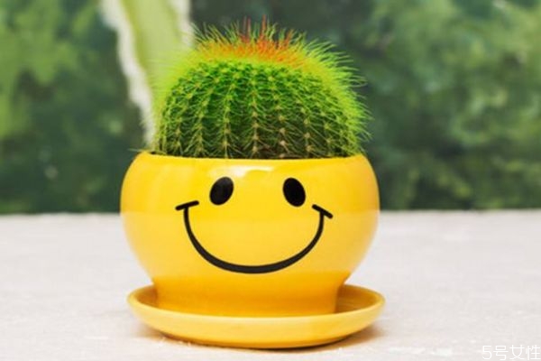 仙人掌能吃嗎 仙人掌可以怎么吃呢 仙人掌能吃嗎 仙人掌可以怎么吃呢