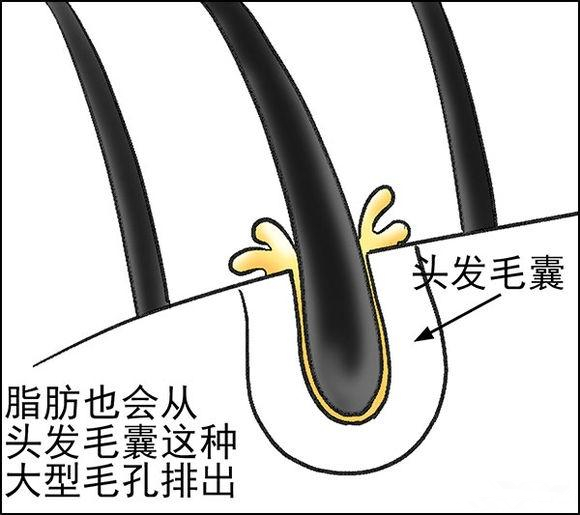 早上洗頭衰老的快嗎 為什么早上洗頭容易衰老 早上洗頭衰老的快嗎 為什么早上洗頭容易衰老