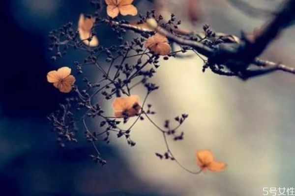 你是否嫁給了最初的那個(gè)人呢 你后悔過(guò)嗎 你是否嫁給了最初的那個(gè)人呢 你后悔過(guò)嗎