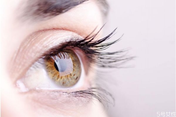 嫁接睫毛多少錢一次 睫毛接幾厘米的最自然 嫁接睫毛多少錢一次 睫毛接幾厘米的最自然