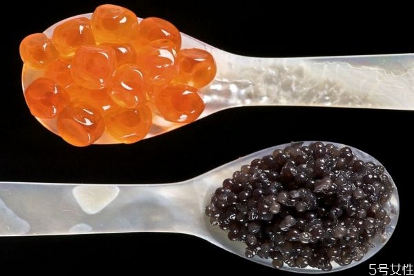 魚子醬有什么營養(yǎng)價值呢 魚子醬應(yīng)該怎么吃呢 魚子醬有什么營養(yǎng)價值呢 魚子醬應(yīng)該怎么吃呢