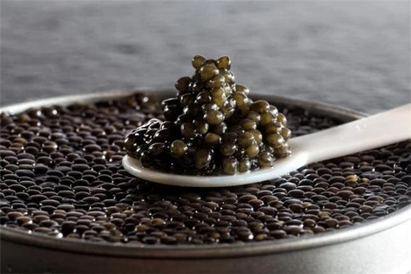 吃魚(yú)子醬配什么酒 魚(yú)子醬配什么吃最好 吃魚(yú)子醬配什么酒 魚(yú)子醬配什么吃最好