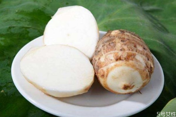 芋頭發(fā)芽可以吃嗎 芋頭應該怎么吃呢 芋頭發(fā)芽可以吃嗎 芋頭應該怎么吃呢