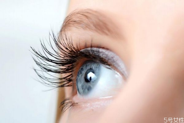 種睫毛可以化妝嗎 種睫毛當天可以化妝嗎 種睫毛可以化妝嗎 種睫毛當天可以化妝嗎